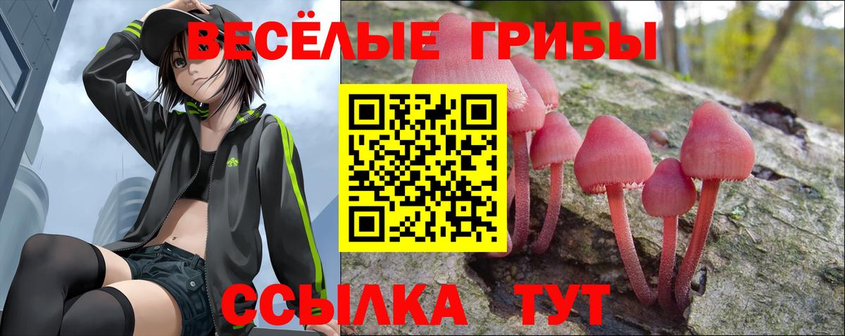 Галлюциногенные грибы мицелий Крымск